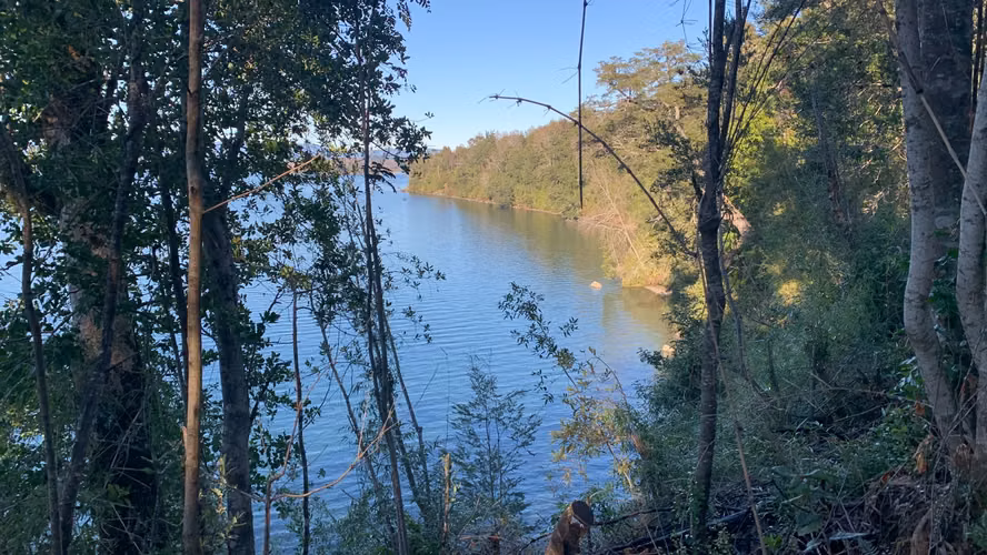 SE VENDE PARCELA CON  PLAYA LAGO CALAFQUEN