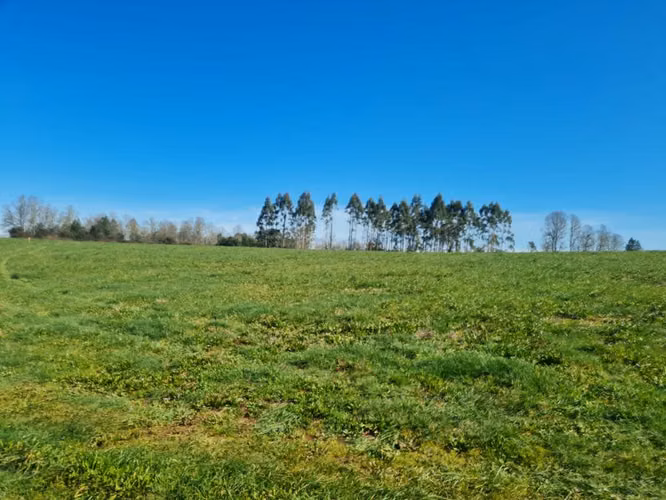PARCELA FUNDO COPIHUAL TERRENOS 1 ha