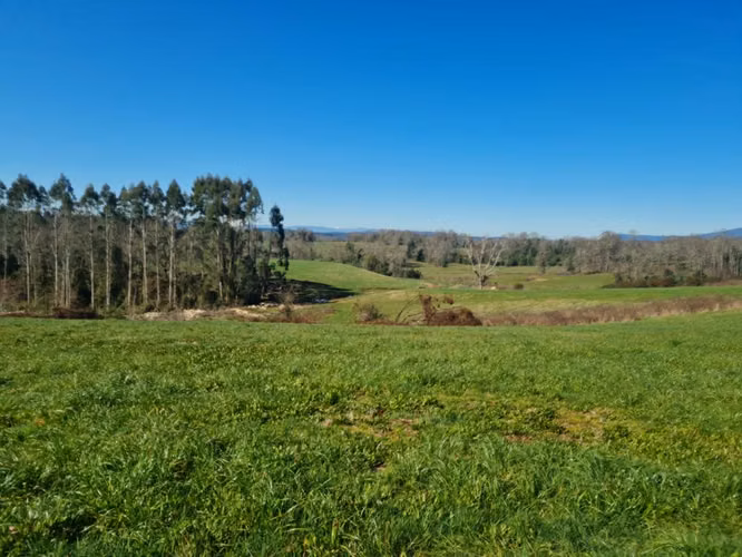 PARCELA FUNDO COPIHUAL TERRENOS 1 ha