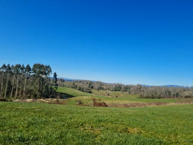 PARCELA FUNDO COPIHUAL TERRENOS 1 ha