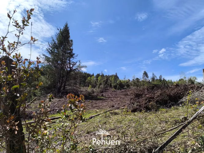 Campo 12ha  camino parque Alerce Costero - Imagen 3