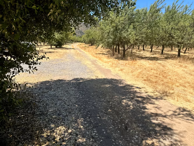 VIVE O INVIERTE EN PARCELAS PLANAS CON VISTA A MONTAÑA - Imagen 7