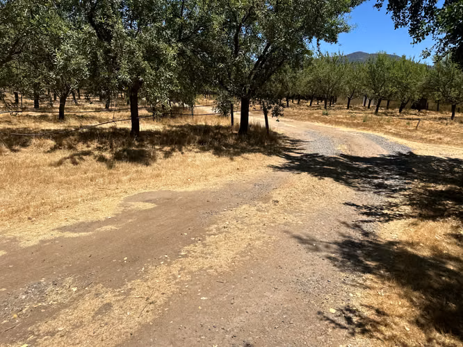 VIVE O INVIERTE EN PARCELAS PLANAS CON VISTA A MONTAÑA - Imagen 5
