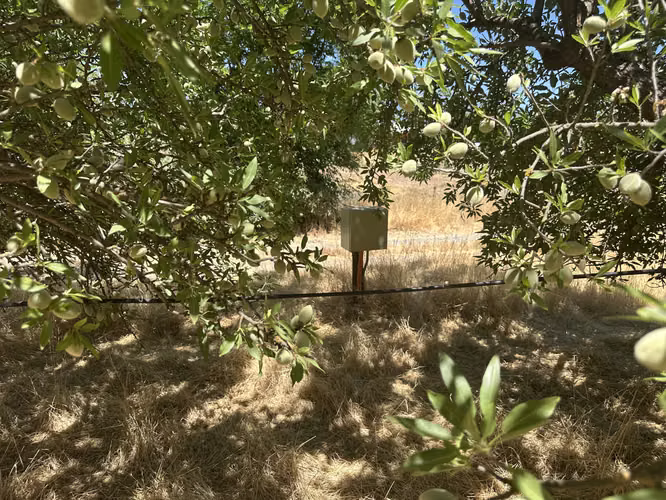 VIVE O INVIERTE EN PARCELAS PLANAS CON VISTA A MONTAÑA - Imagen 8