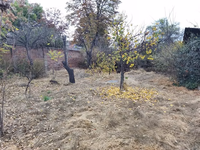 Gran terreno / S Elcano/ Casa Hogar /4 dorm /2 B - Imagen 15