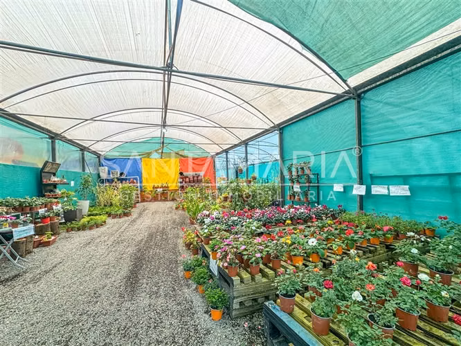 Local Comercial en venta en San Pedro de la Paz