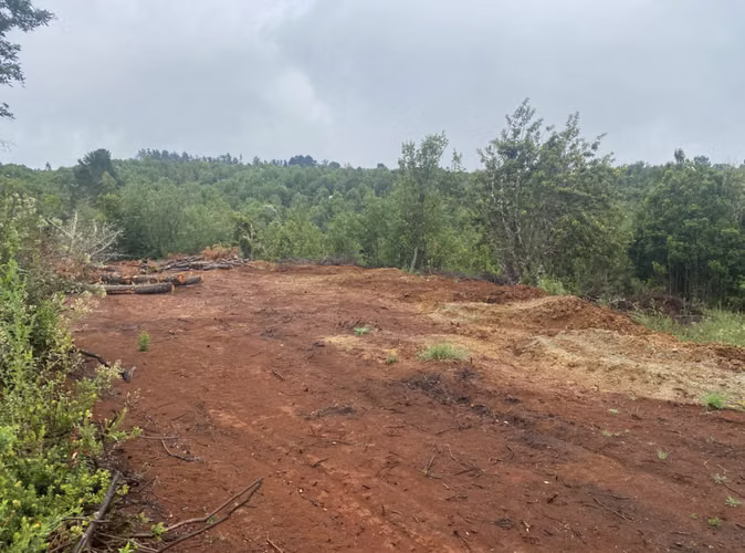 Se vende parcela sector Chabelita a 15 minutos de Torobayo - Imagen 8