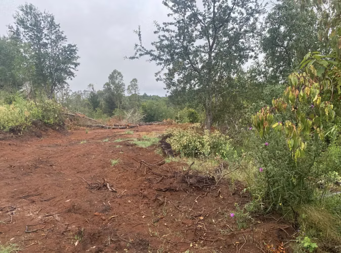 Se vende parcela sector Chabelita a 15 minutos de Torobayo - Imagen 15