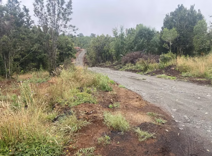 Se vende parcela sector Chabelita a 15 minutos de Torobayo - Imagen 12