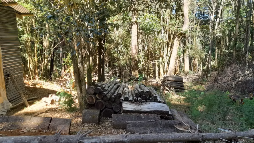 Vendo Parcela con Casa y Bodega en loteo camino a Paillaco