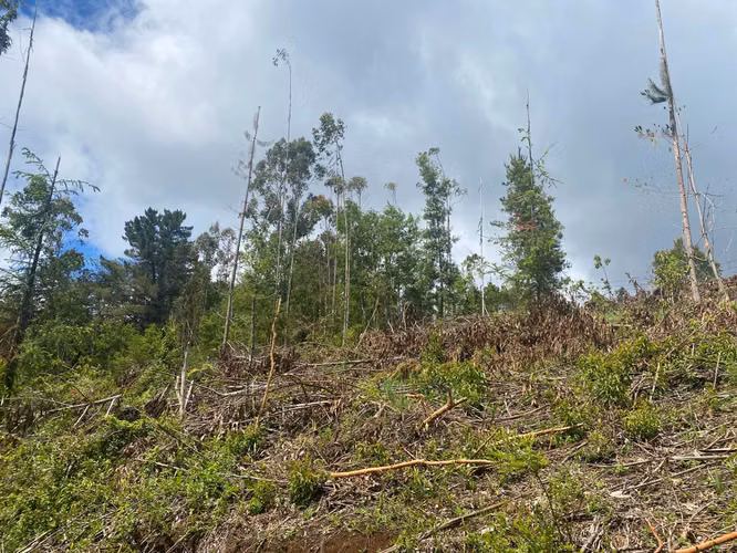 Se vende terreno en salida norte a 15 minutos de Valdivia