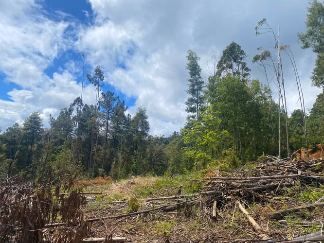 Se vende terreno en salida norte a 15 minutos de Valdivia