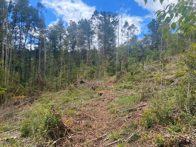 Se vende terreno en salida norte a 15 minutos de Valdivia