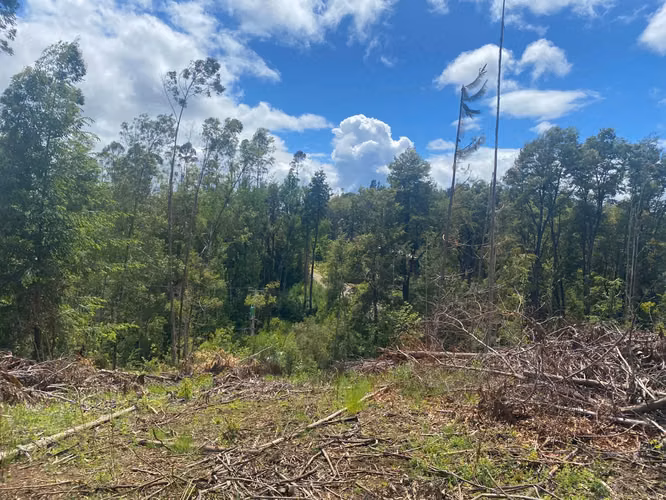Se vende terreno en salida norte a 15 minutos de Valdivia