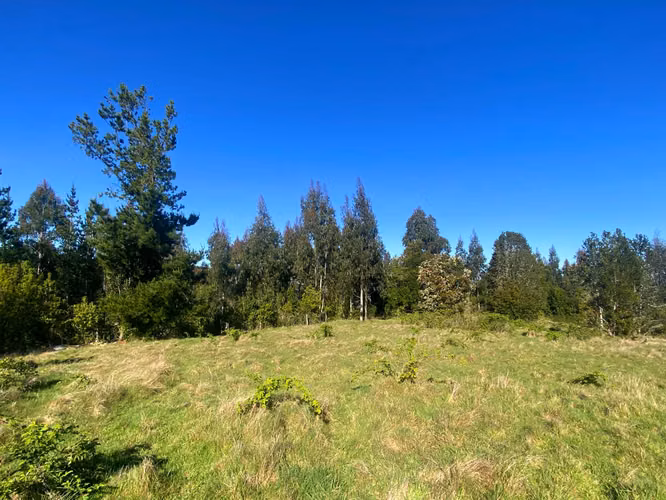 Se vende terreno con luz y agua en salida sur de Valdivia