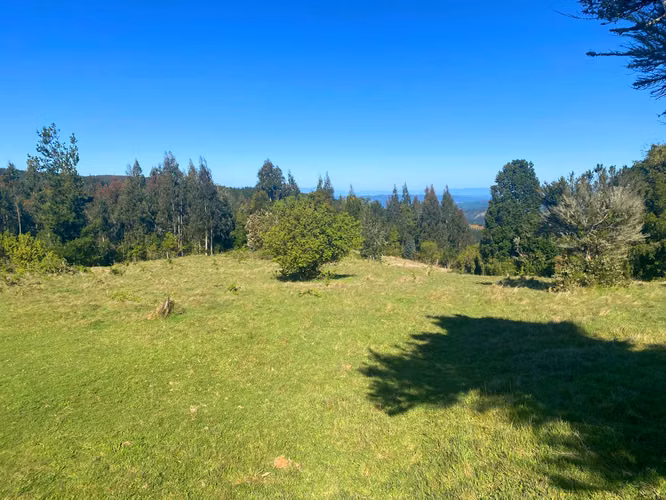 Se vende terreno con luz y agua en salida sur de Valdivia
