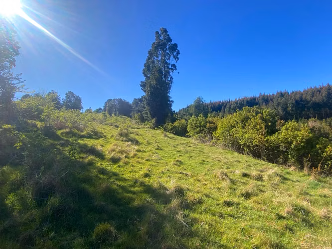 Se vende terreno con luz y agua en salida sur de Valdivia