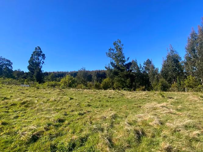 Se vende terreno con luz y agua en salida sur de Valdivia
