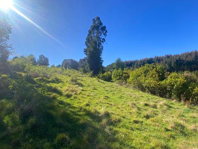 Se vende terreno en Caman salida sur de Valdivia