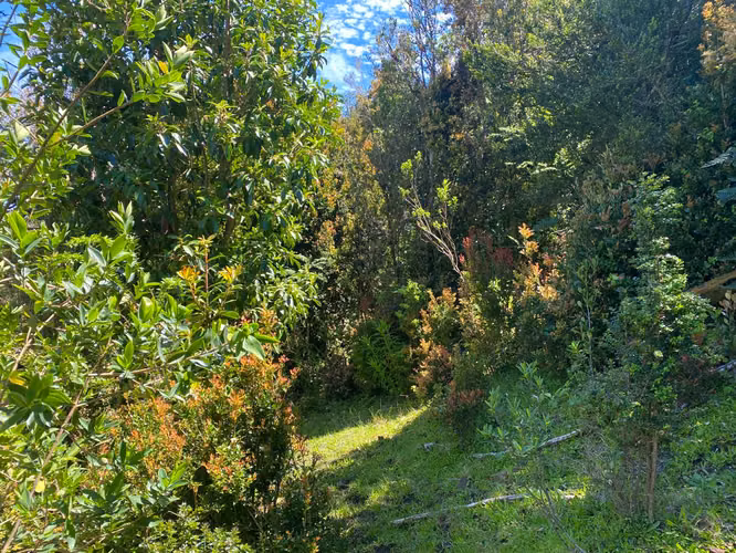 Se vende terreno llegando a Bonifacio costa Valdiviana