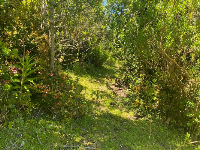 Se vende terreno llegando a Bonifacio costa Valdiviana