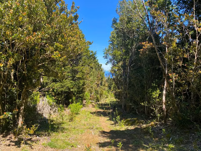 Se vende terreno en la costa Valdiviana en Bonifacio