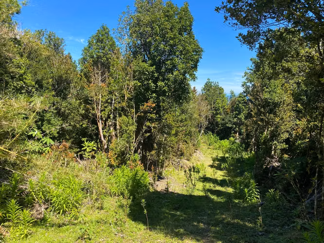 Se vende terreno en la costa Valdiviana en Bonifacio
