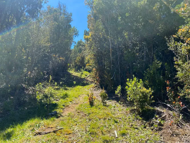 Se vende terreno llegando a Bonifacio costa Valdiviana