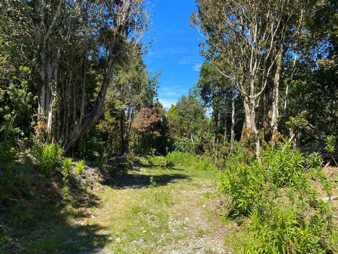 Se vende terreno llegando a Bonifacio costa Valdiviana