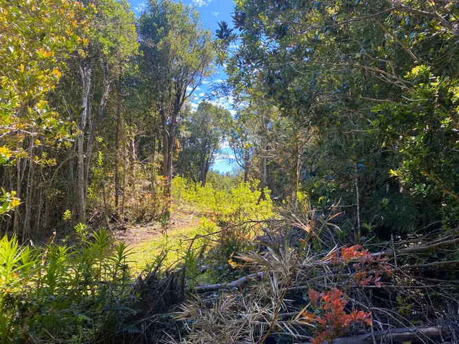 Se vende terreno en la costa Valdiviana en Bonifacio