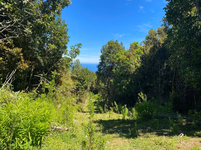Se vende terreno llegando a Bonifacio costa Valdiviana