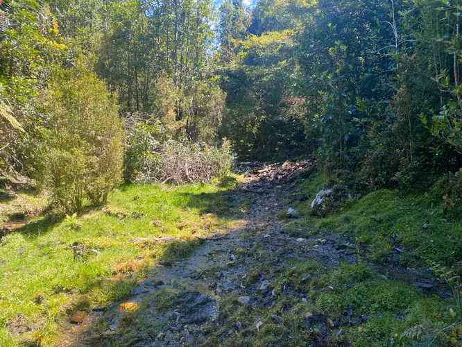 Se vende terreno llegando a Bonifacio costa Valdiviana