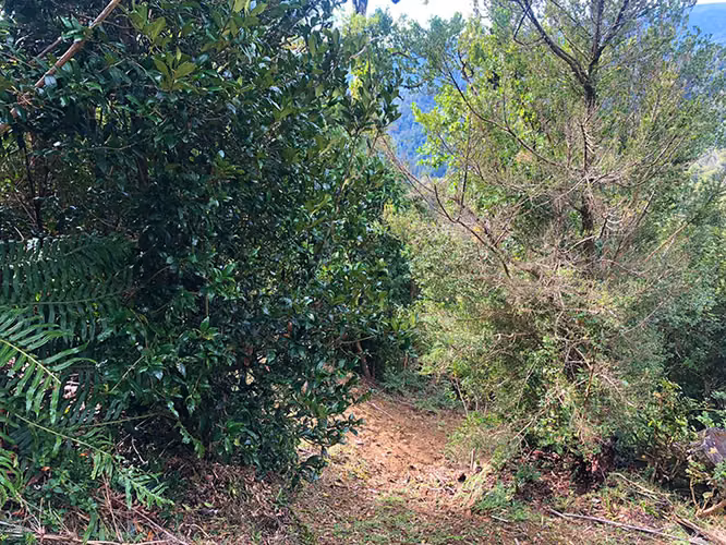 Se vende terreno camino a Curiñanco en Bonifacio