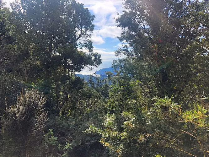 Se vende terreno camino a Curiñanco en Bonifacio