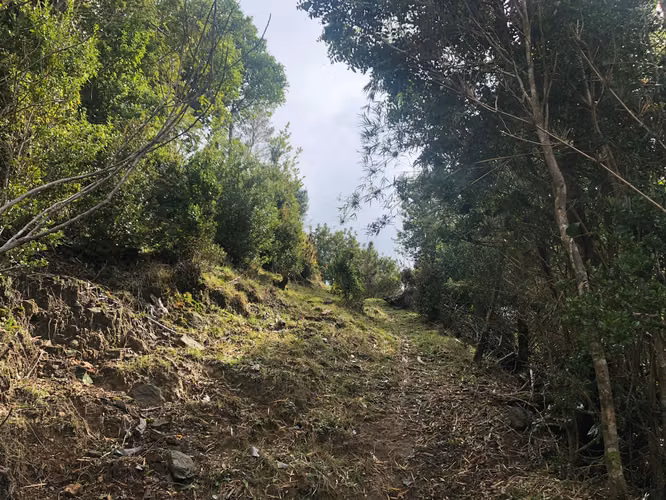 Se vende terreno camino a Curiñanco en Bonifacio