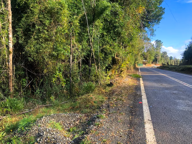 Se vende terreno tres hectareas sector Los Guindos - Imagen 14