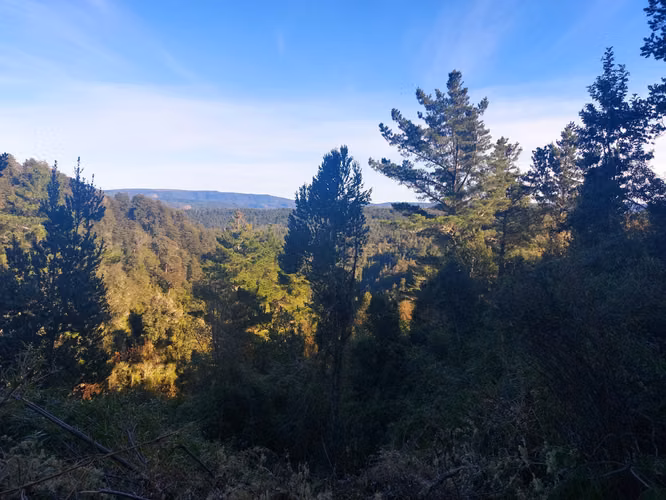 Se vende terreno a 40 minutos de Valdivia, Los Guindos