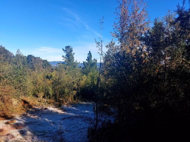 Se vende terreno a 40 minutos de Valdivia, Los Guindos