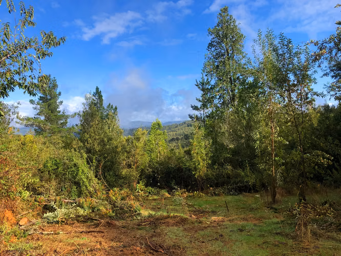 Se vende terreno a 40 minutos de Valdivia, Los Guindos