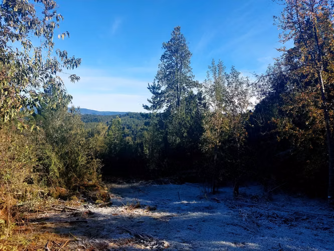 Se vende terreno a 40 minutos de Valdivia, Los Guindos