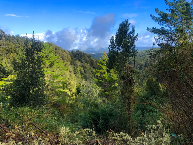Se vende terreno a 40 minutos de Valdivia, Los Guindos