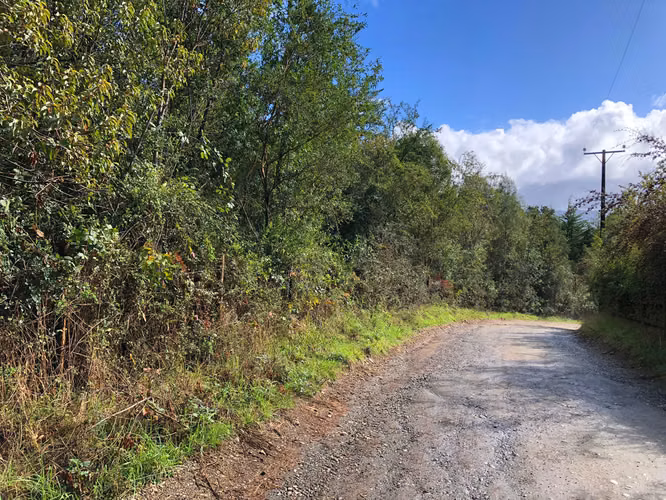 Se vende terreno en el Rebellín 15 minutos a entrada Valdivia