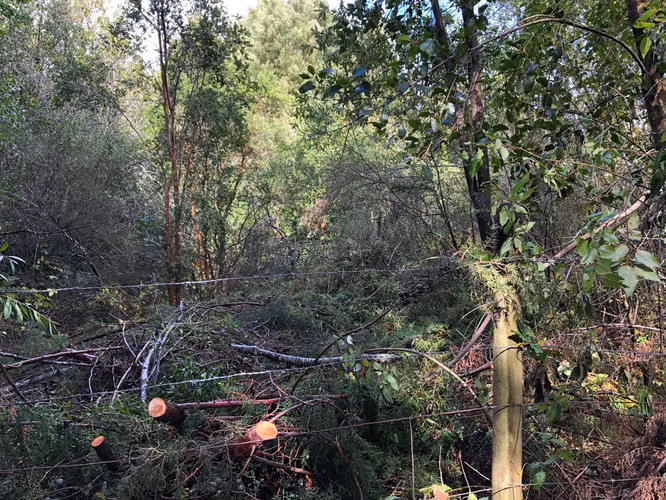 Se vende terreno en el Rebellín 15 minutos a entrada Valdivia