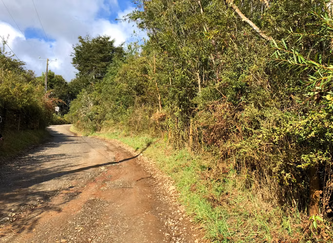 Se vende terreno en el Rebellín 15 minutos a entrada Valdivia