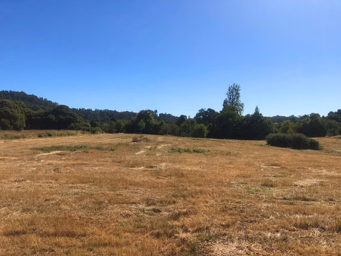 Se venden parcelas 5.000 m² cercano al radio urbano Valdivia