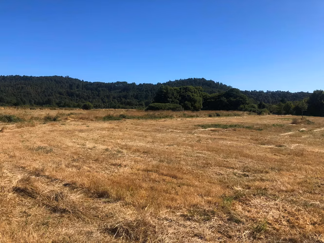Se venden parcelas 5.000 m² cercano al radio urbano Valdivia