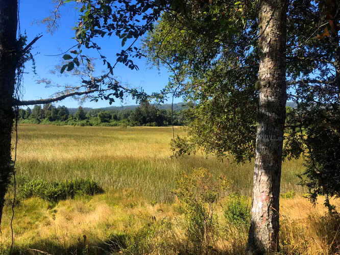 Se venden parcelas 5.000 m² cercano al radio urbano Valdivia