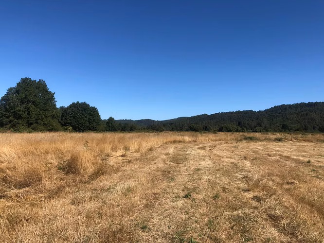Se venden parcelas 5.000 m² cercano al radio urbano Valdivia