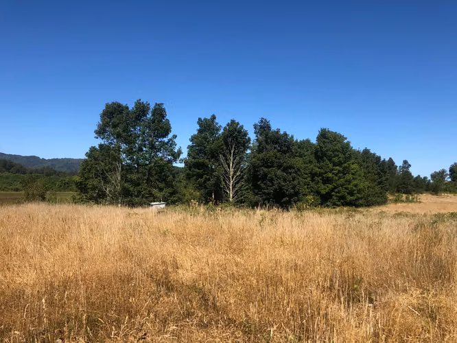 Se venden parcelas 5.000 m² cercano al radio urbano Valdivia