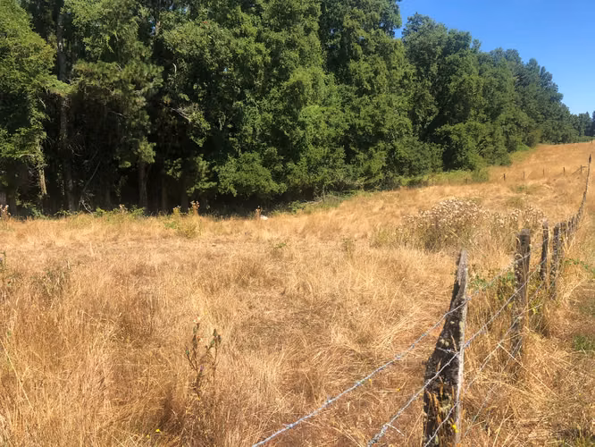 Se venden parcelas 5.000 m² cercano al radio urbano Valdivia